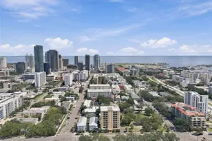 316 8th St S, Saint Petersburg, FL 33701 - Photo 29