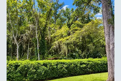 3334 Killdeer Place, Palm Harbor, FL 34685 - Photo 39