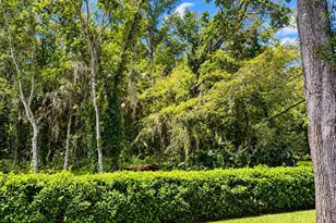 3334 Killdeer Pl, Palm Harbor, FL 34685 - Photo 39