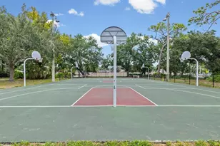 30197 69th St N, Clearwater, FL 33761 - Photo 25