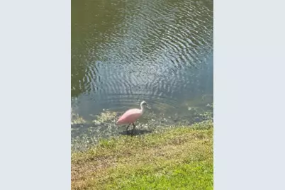 1400 Water View Drive W #202, Largo, FL 33771 - Photo 51