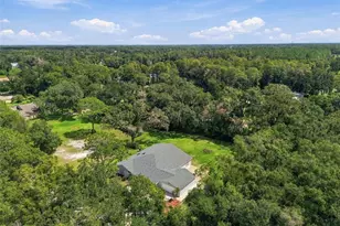 19531 Deer Lake Rd, Lutz, FL 33548 - Photo 87
