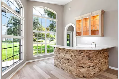 1003 Kings Way Lane, Tarpon Springs, FL 34688 - Photo 33