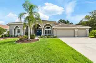 1003 Kings Way Ln, Tarpon Springs, FL 34688 - Photo 1