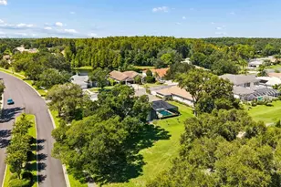 1003 Kings Way Ln, Tarpon Springs, FL 34688 - Photo 57