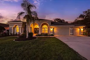 1003 Kings Way Ln, Tarpon Springs, FL 34688 - Photo 65