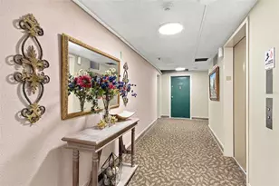 4141 Bayshore Blvd, Tampa, FL 33611 - Photo 3