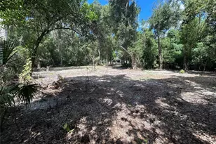 3324 Taylor Ave, Coleman, FL 33521 - Photo 25