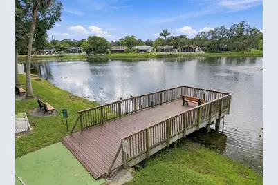 709 Jacaranda Drive, Oldsmar, FL 34677 - Photo 67
