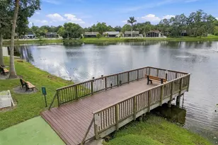 709 Jacaranda Dr, Oldsmar, FL 34677 - Photo 67