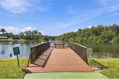 709 Jacaranda Drive, Oldsmar, FL 34677 - Photo 71