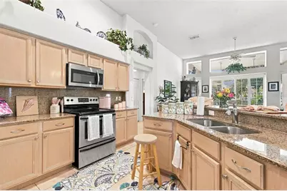 19014 Silverbrook Drive, Tampa, FL 33647 - Photo 19