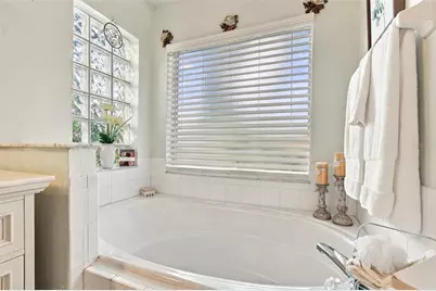 19014 Silverbrook Drive, Tampa, FL 33647 - Photo 43