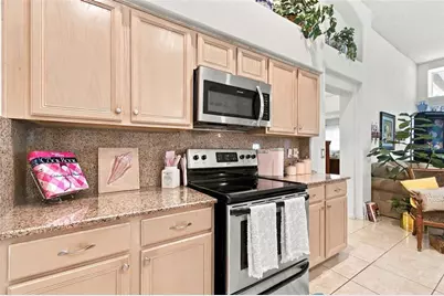 19014 Silverbrook Drive, Tampa, FL 33647 - Photo 21