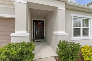 2405 High Tides Wy, Wesley Chapel, FL 33543 - Photo 5