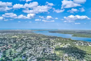 4031 Arrowwood Ct, Palm Harbor, FL 34684 - Photo 35