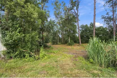 867 Sunset Lane, Lutz, FL 33549 - Photo 5