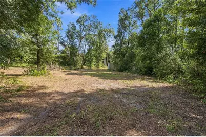 867 Sunset Lane, Lutz, FL 33549 - Photo 17