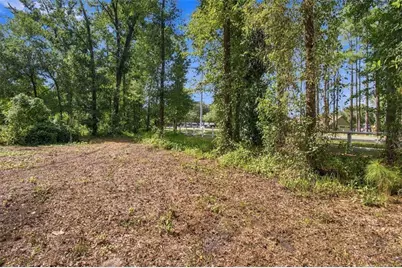 867 Sunset Lane, Lutz, FL 33549 - Photo 13