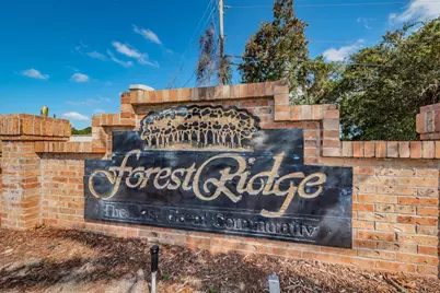 1783 Wood Brook Street, Tarpon Springs, FL 34689 - Photo 57