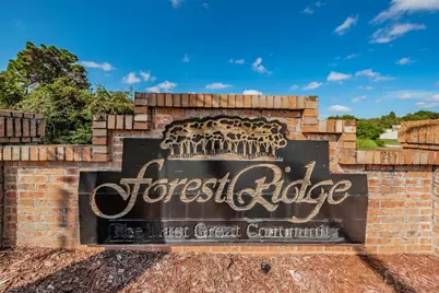 1783 Wood Brook Street, Tarpon Springs, FL 34689 - Photo 53
