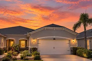 11631 Weathered Felling Dr, Riverview, FL 33569 - Photo 1