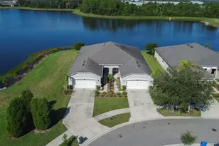 11631 Weathered Felling Dr, Riverview, FL 33569 - Photo 43