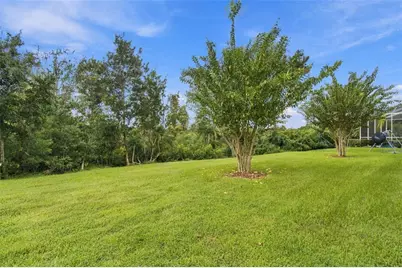 30444 Pecan Valley Loop, Wesley Chapel, FL 33543 - Photo 37