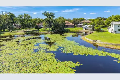 1107 Isobel Reserve Lane, Tampa, FL 33613 - Photo 81