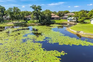 1107 Isobel Reserve Ln, Tampa, FL 33613 - Photo 81