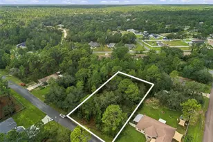 Indigo Bunting Rd, Weeki Wachee, FL 34614 - Photo 1