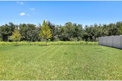 13034 Wellspring Drive, Lithia, FL 33547 - Photo 5