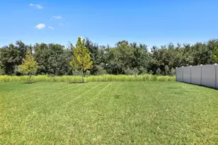 13034 Wellspring Dr, Lithia, FL 33547 - Photo 5