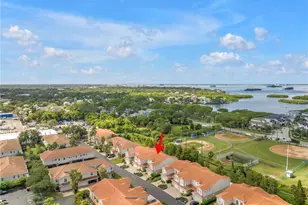 1344 Ribolla Dr, Palm Harbor, FL 34683 - Photo 47