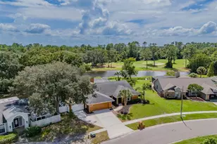 1409 Holleman, Valrico, FL 33596 - Photo 63