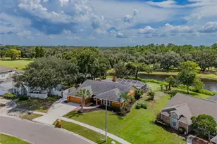 1409 Holleman, Valrico, FL 33596 - Photo 59