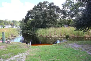 6443 Finance Ave, Weeki Wachee, FL 34607 - Photo 3