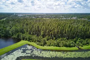 11924 Winterset Cove Dr, Riverview, FL 33579 - Photo 87