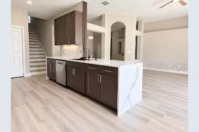 27042 Firebush Drive, Wesley Chapel, FL 33544 - Photo 15