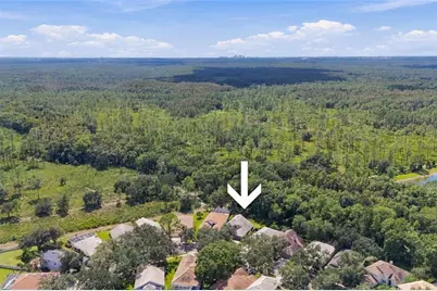 17704 Nathans Drive, Tampa, FL 33647 - Photo 39