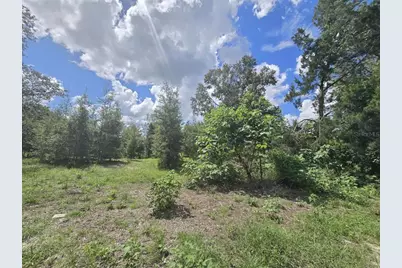 St. Paul Dr, Spring Hill, FL 34610 - Photo 3