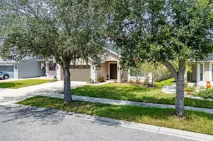 10747 Standing Stone Dr, Wimauma, FL 33598 - Photo 99