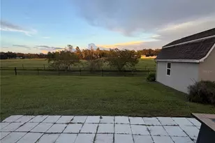10106 Dusty Hill Loop, Dade City, FL 33525 - Photo 35