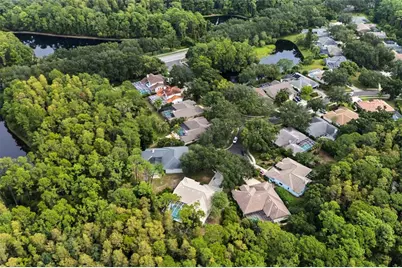 3951 Brightside Lane, Palm Harbor, FL 34685 - Photo 51
