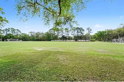 3951 Brightside Lane, Palm Harbor, FL 34685 - Photo 55