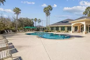 10144 Arbor Run Dr, Tampa, FL 33647 - Photo 45