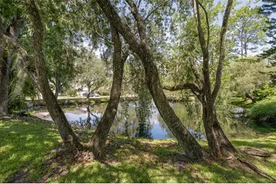 3559 Sylvan Edge Drive, Palm Harbor, FL 34685 - Photo 41