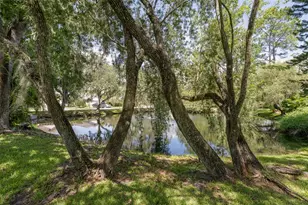3559 Sylvan Edge Dr, Palm Harbor, FL 34685 - Photo 41