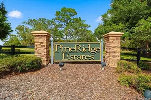 4124 W Pine Ridge Blvd, Beverly Hills, FL 34465 - Photo 51