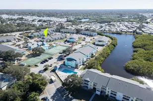 455 Alt 19 S, Palm Harbor, FL 34683 - Photo 5